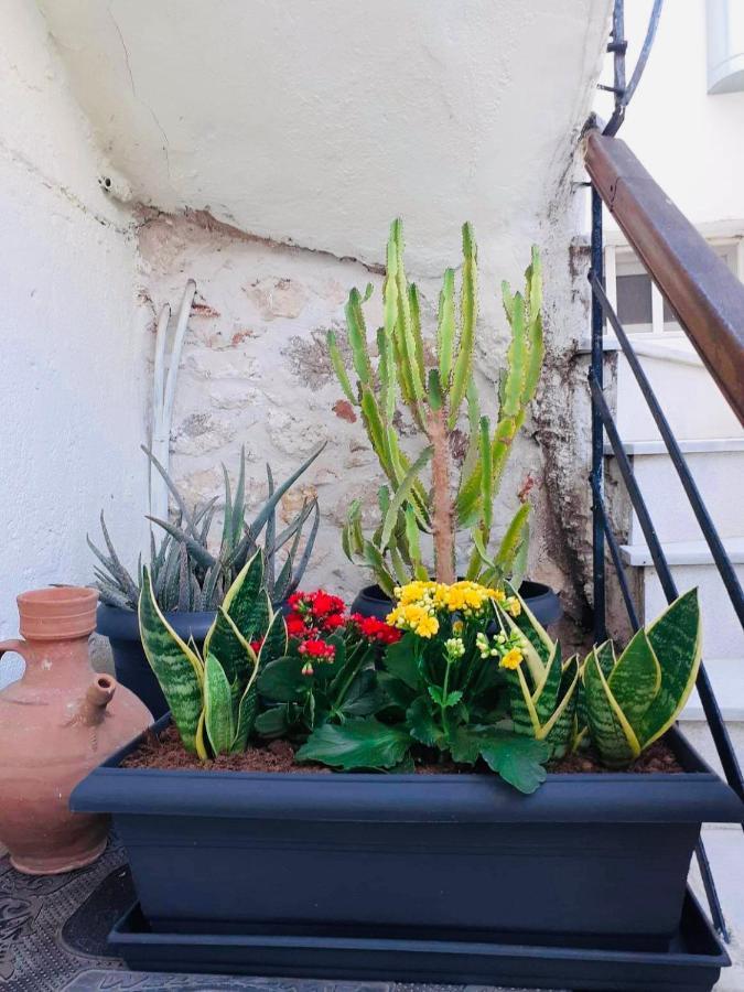 Marianthi'S House Apartment Heraklion  Ngoại thất bức ảnh